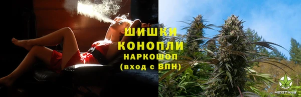 сатива Алексин