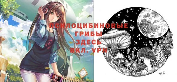 соль ск Алексеевка
