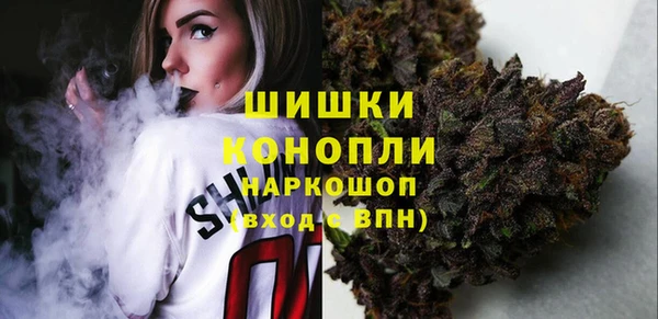 сатива Алексин