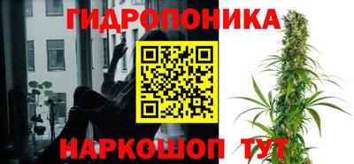 прущие грибы Заволжье