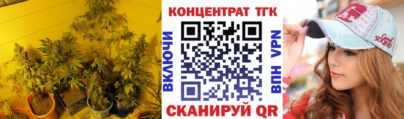 Дистиллят ТГК концентрат  купить наркотики сайты  Шебекино 
