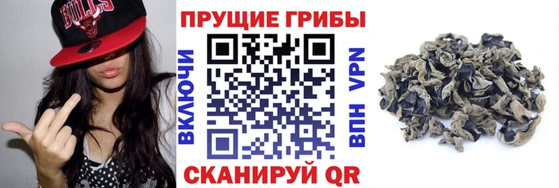 Псилоцибиновые грибы Magic Shrooms  Шебекино 