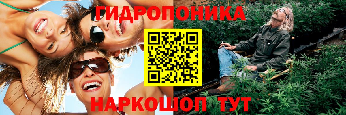 Канабис семена  Бошки Шишки конопля  Вход с VPN  Шебекино  Конопля AK-47  Бошки марихуана ГИДРОПОН 